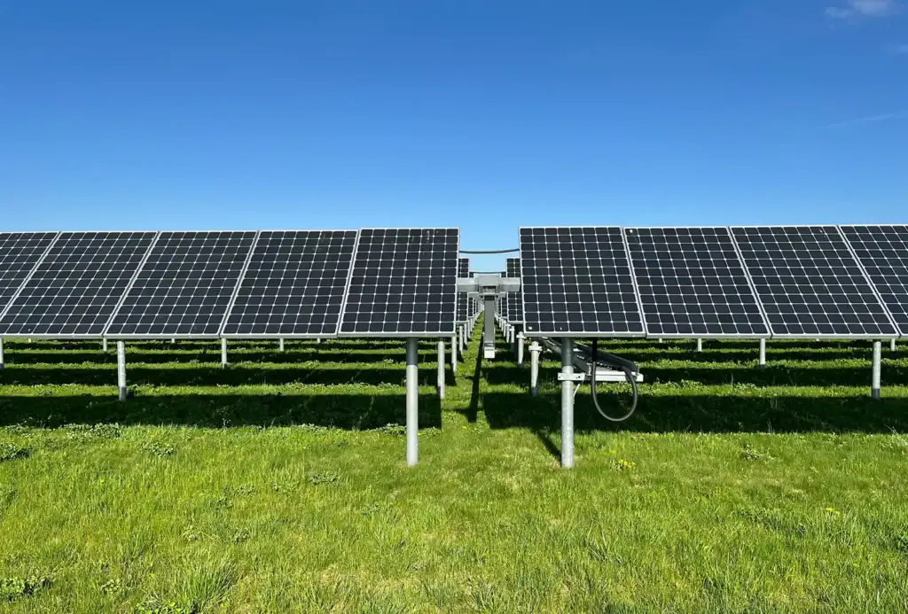 1mw montgomery nj