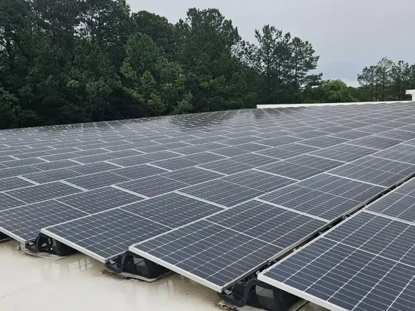 Ess-alpharetta-georgia